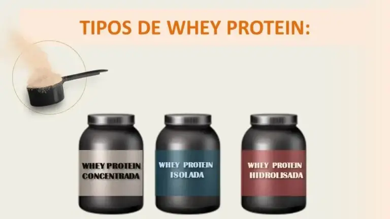 tipo de whey protein