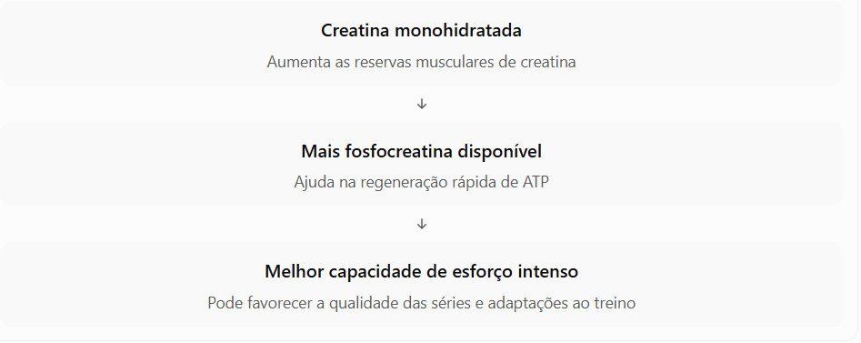 Creatina para iniciantes: vale a pena? 4 image